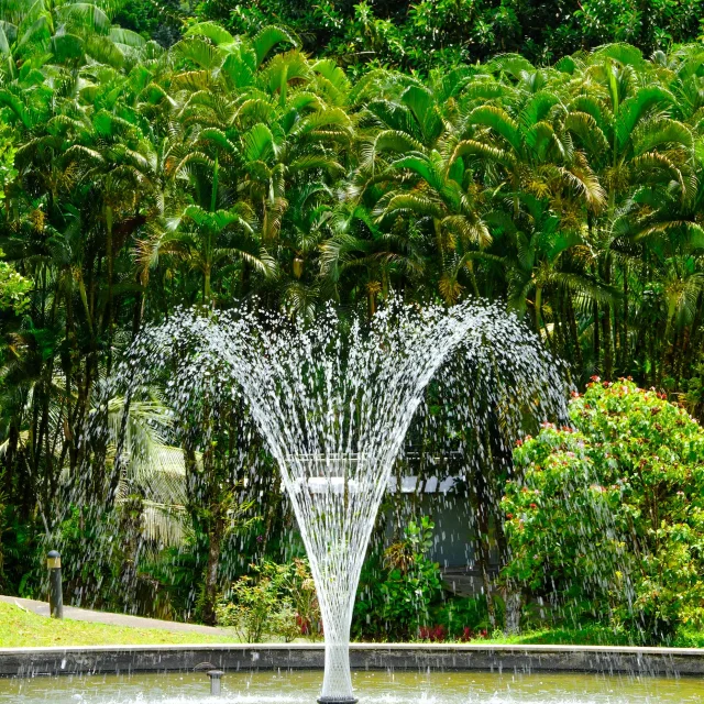 Fontaine Jardin Domaine d'Emeraude Morne-Rouge Martinique