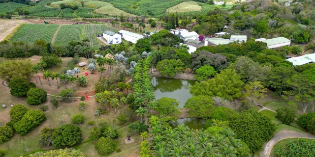 Jardin Habitation Clément François Martinique