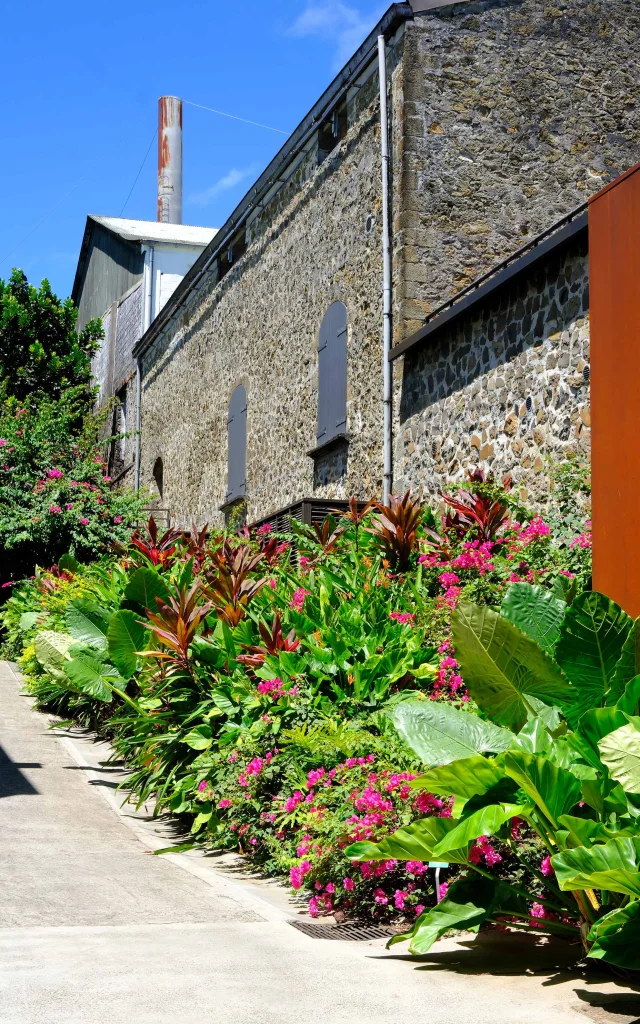 Habitation Clément François Martinique