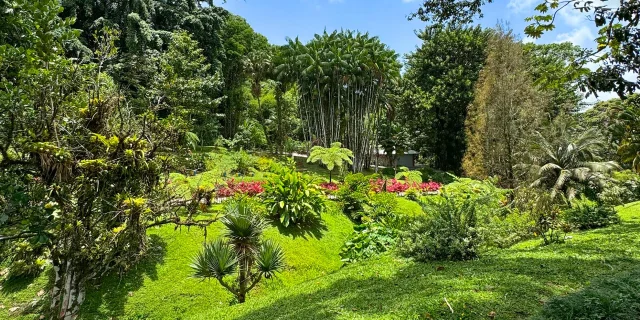 Jardin Domaine d'Emeraude Morne-Rouge Martinique