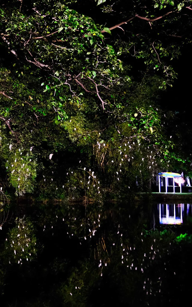 Jardin Habitation Clément François Martinique