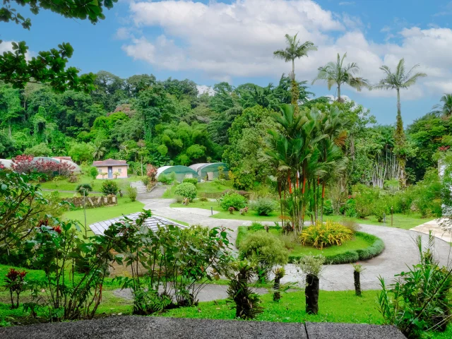 Jardin Domaine d'Emeraude Morne-Rouge Martinique