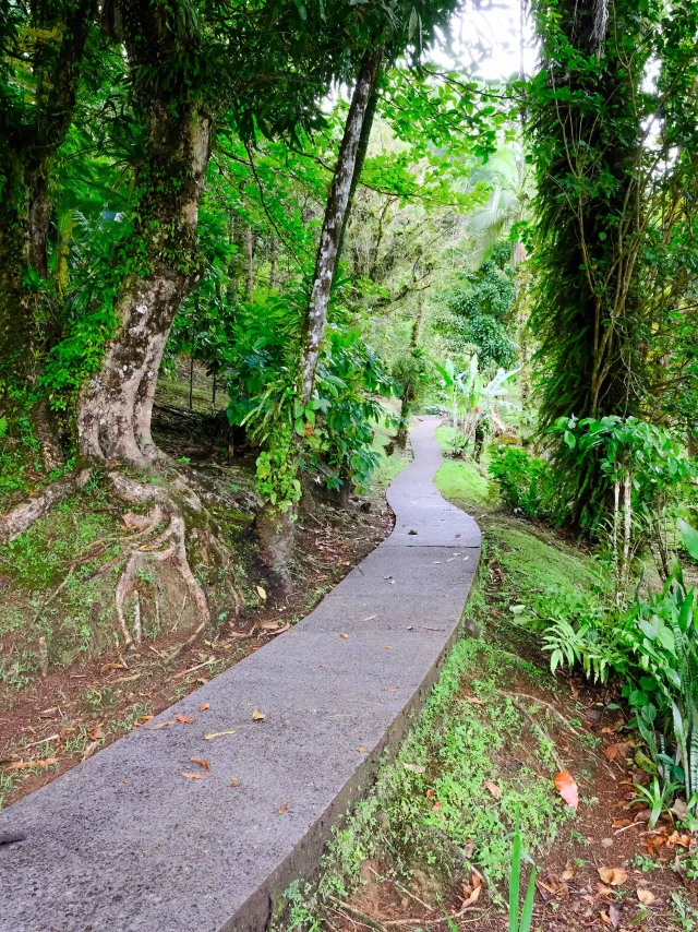 Jardin Domaine d'Emeraude Morne-Rouge Martinique