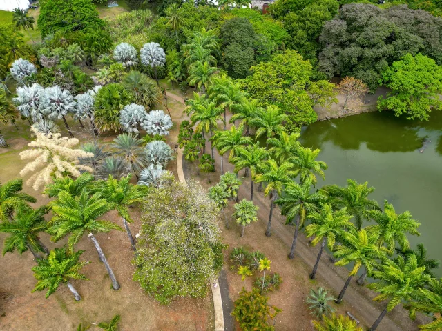 Jardin Habitation Clément François Martinique