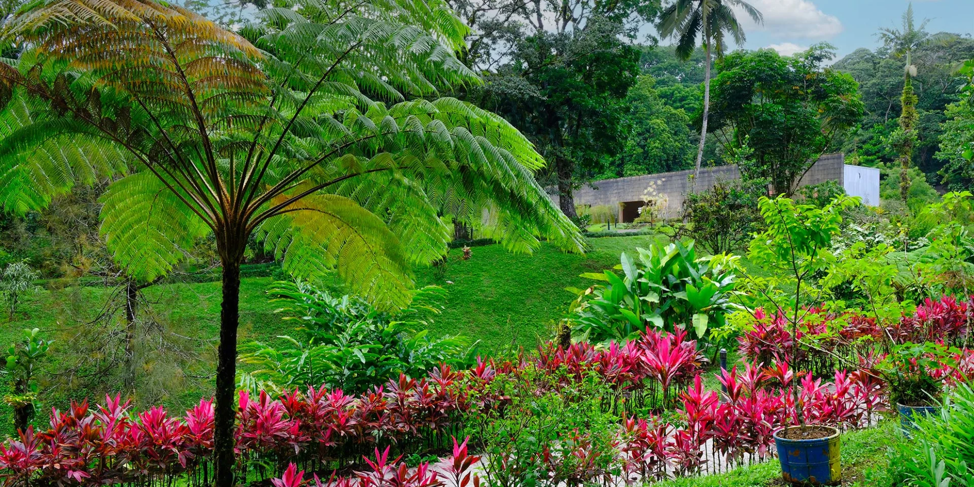 Jardin Domaine d'Emeraude Morne-Rouge Martinique