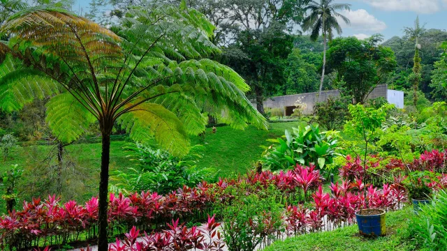 Jardin Domaine d'Emeraude Morne-Rouge Martinique