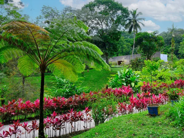 Jardin Domaine d'Emeraude Morne-Rouge Martinique