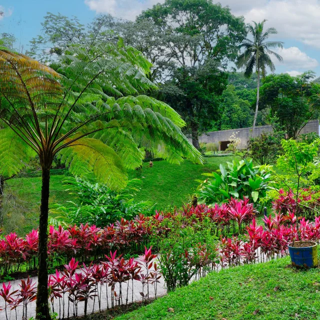 Garden5 Domainedelemeraude Mornerouge Martinique