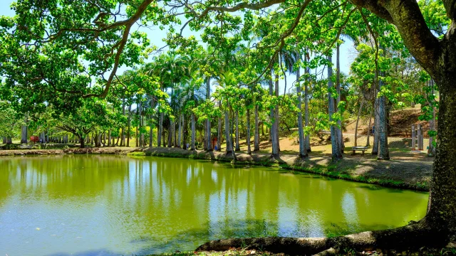 Jardin Habitation Clément François Martinique