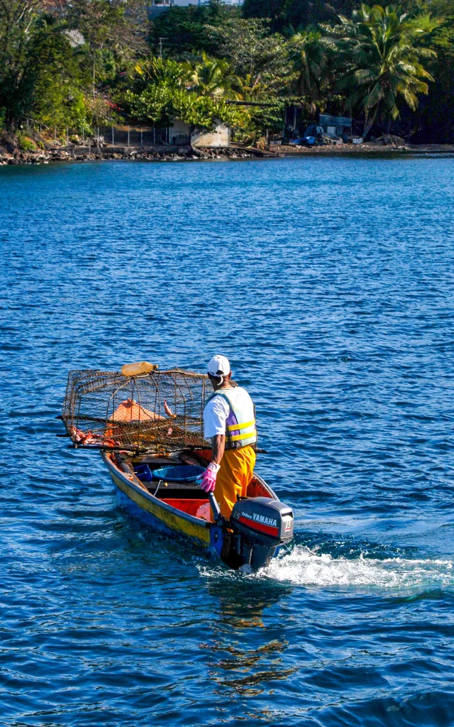 Pêcheur Martinique