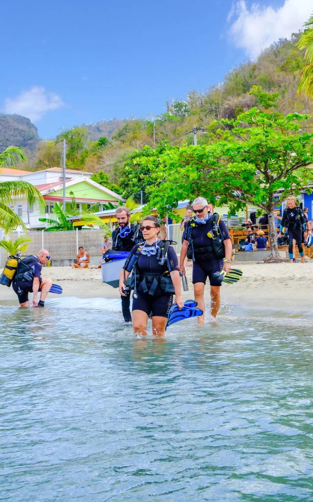 Alpha Plongée Anses d'Arlet Martinique