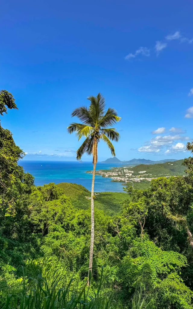 An Mao Héritage Marin Martinique