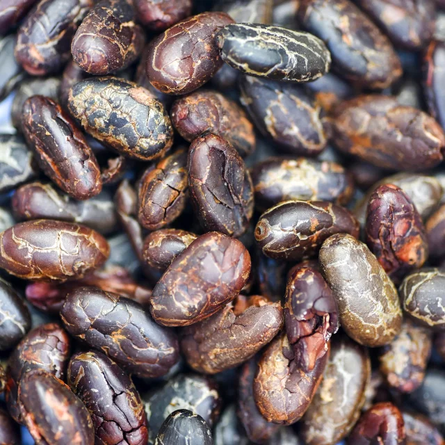 Cacao Héritage des îles Saint-Joseph Martinique