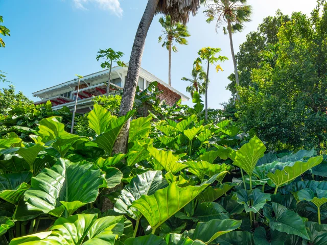 Hôtel Plein Soleil**** François Martinique