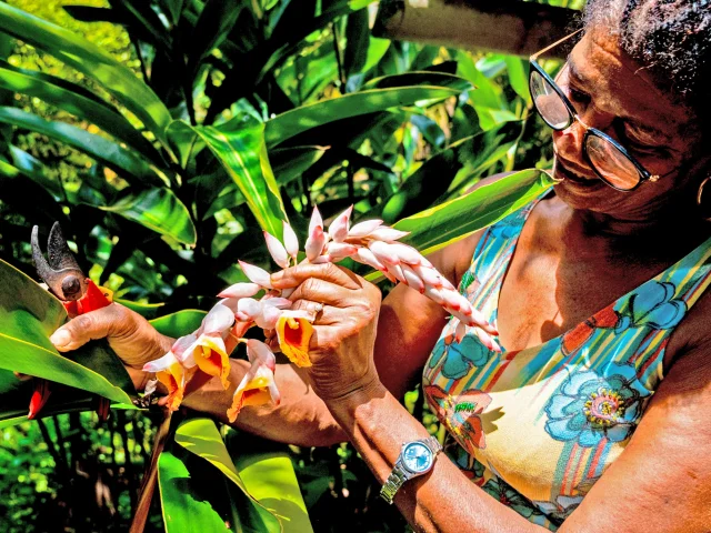 Atoumo Jardin Héritage des îles Saint-Joseph Martinique