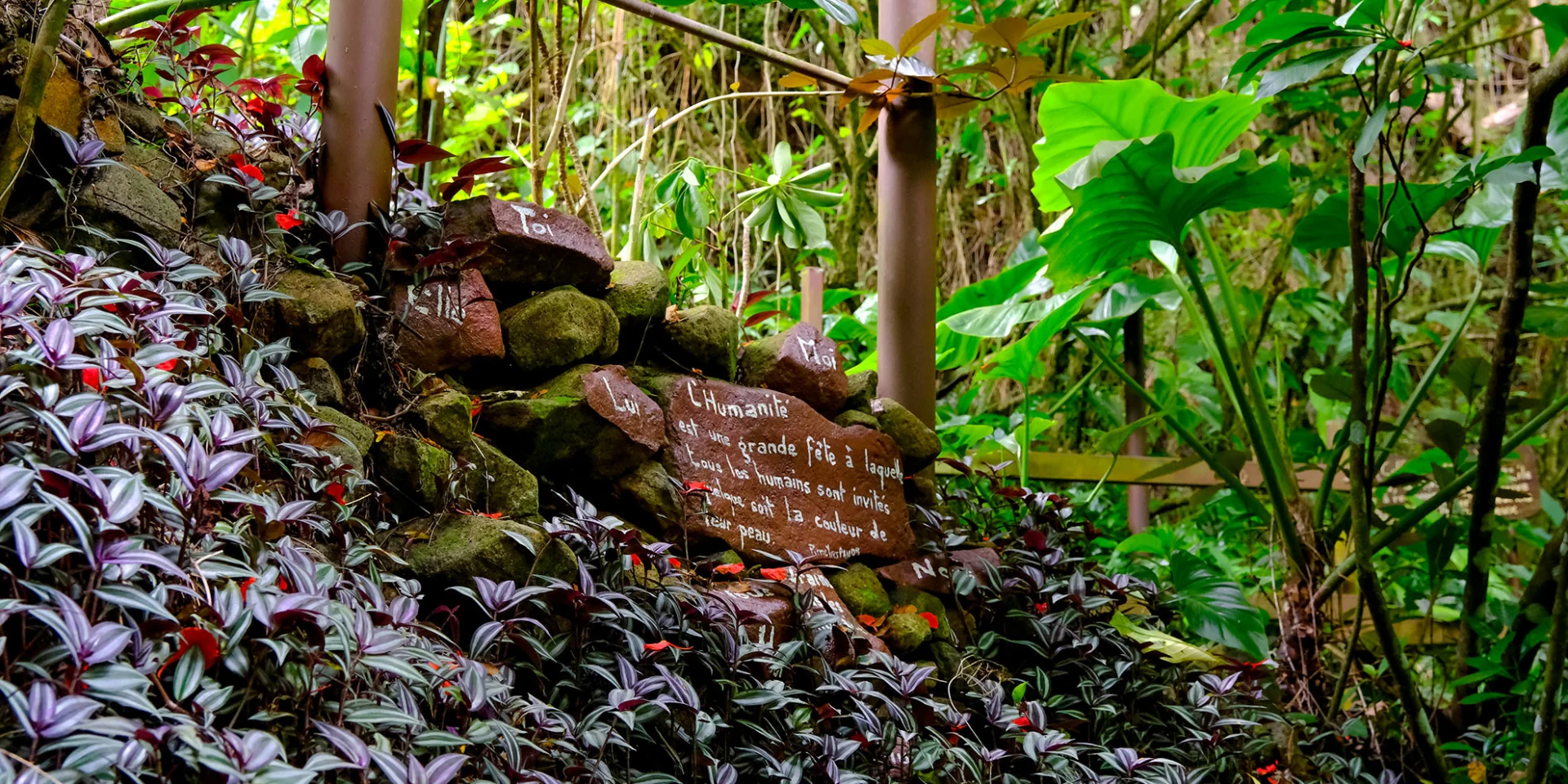 Jardin An Mao Héritage Marin Martinique