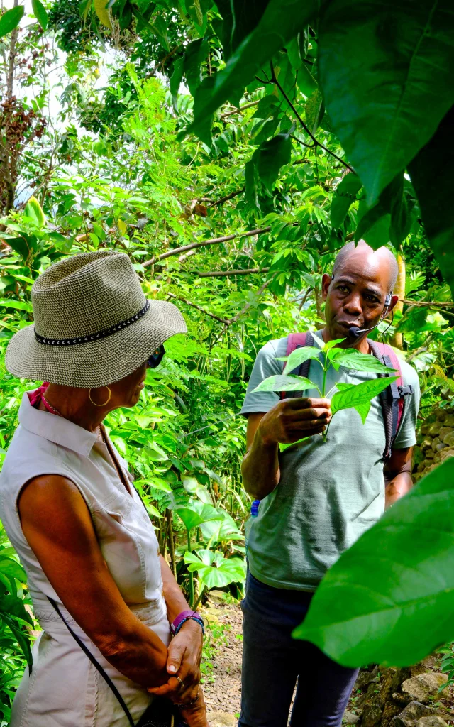 Jardin An Mao Héritage Marin Martinique