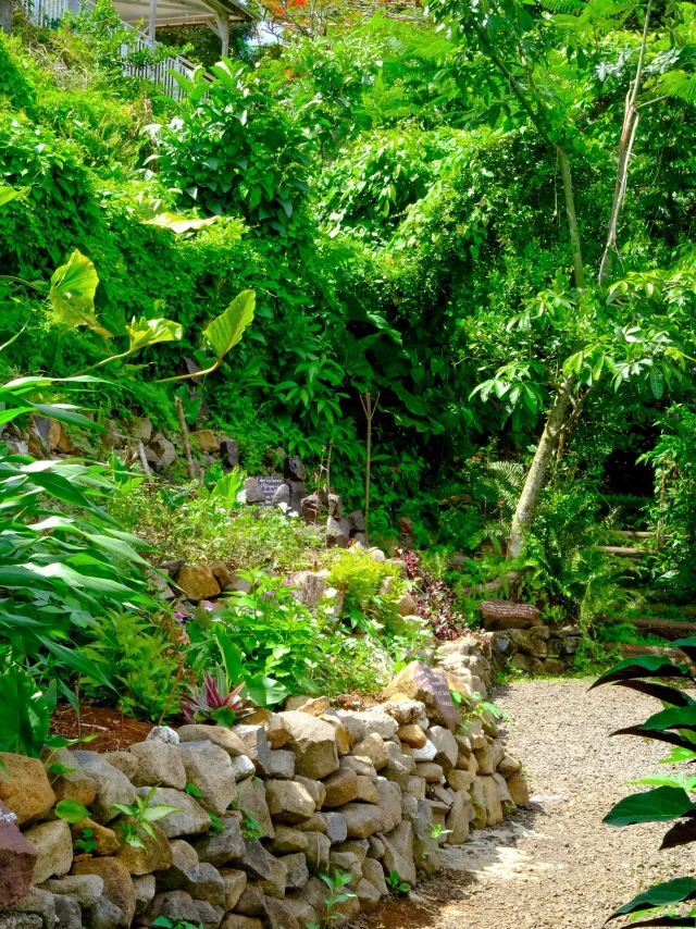 Jardin An Mao Héritage Marin Martinique