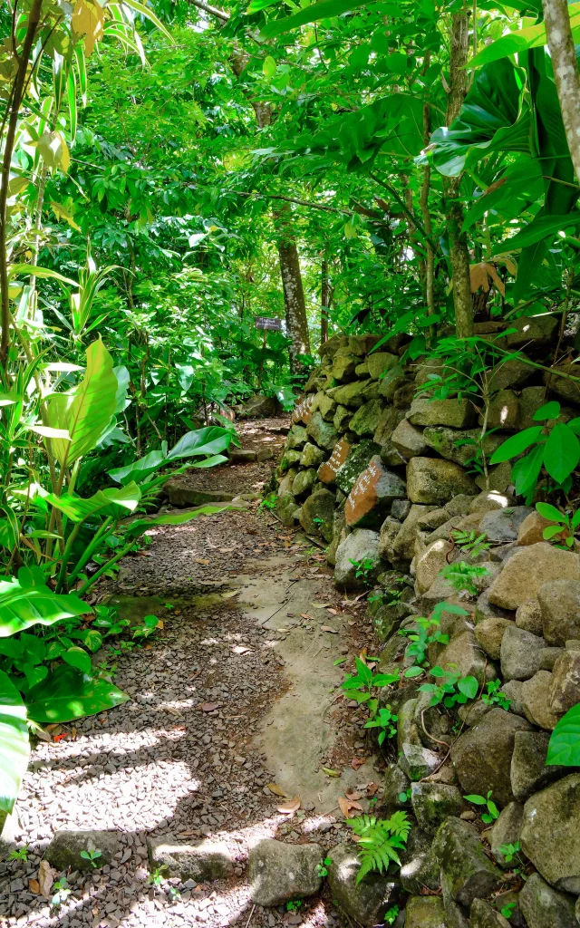 Jardin An Mao Héritage Marin Martinique