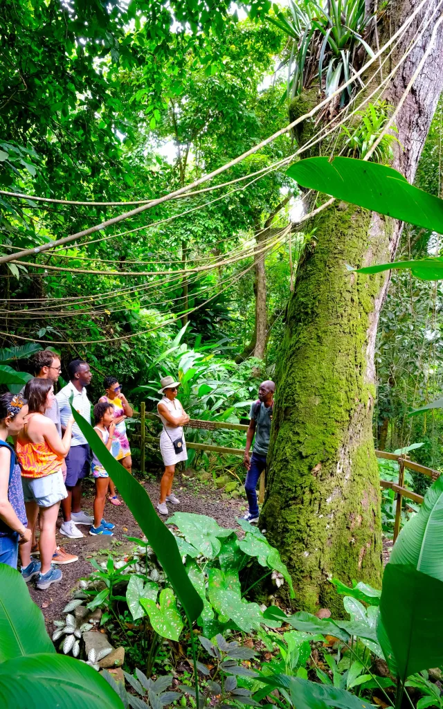 Jardin An Mao Héritage Marin Martinique