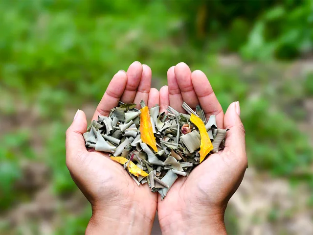 Tisane Héritage des îles Saint-Joseph Martinique