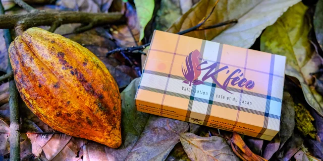 Cacao Tablette de chocolat K'Féco Robert Martinique