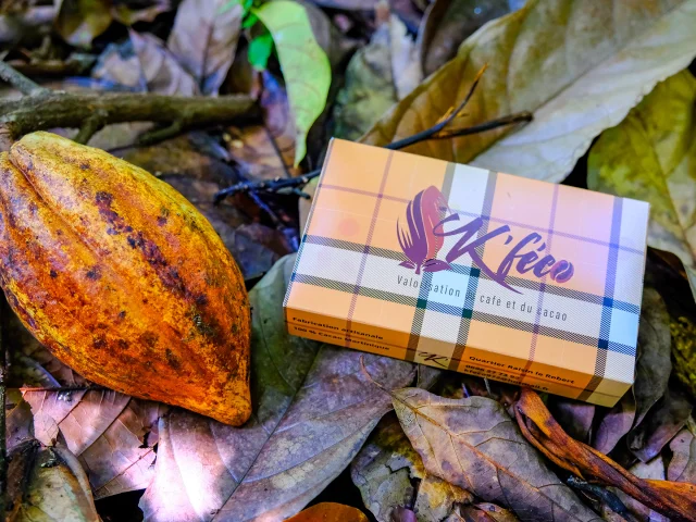 Cacao Tablette de chocolat K'Féco Robert Martinique