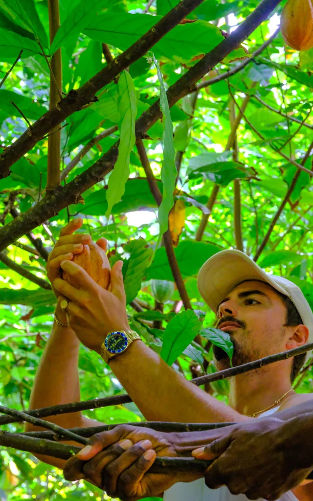 Visite guidée cacaoyère Plantation de Cacao Jardin K'Féco Robert Martinique