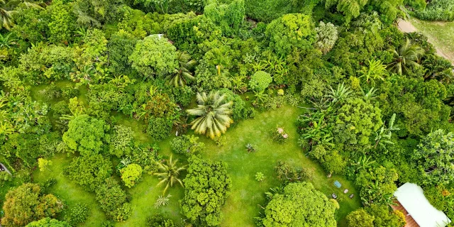 Jardin Kaz à Vanille Trinité Martinique