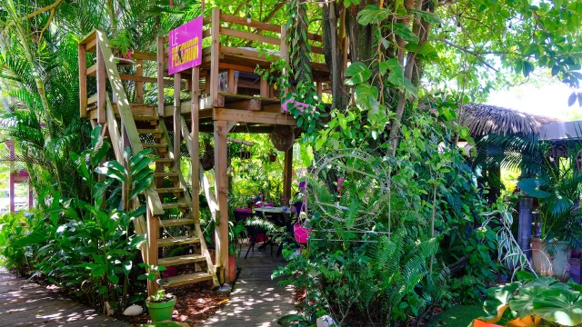 Restaurant Le Jardin des Envies Trois-îlets Martinique