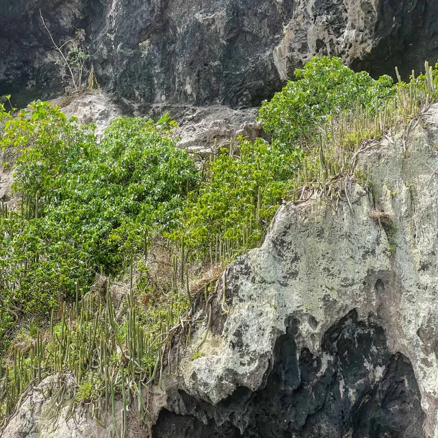 Rocher du Diamant Martinique