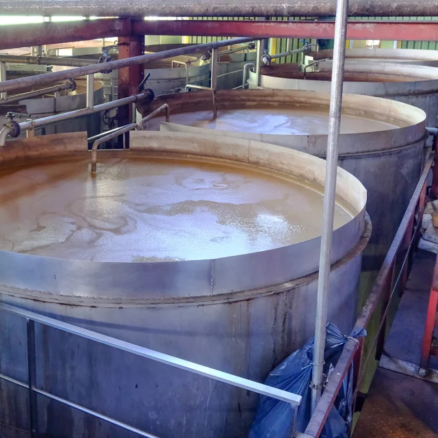 Cuve de fermentation Distillerie Saint James Sainte-Marie Martinique