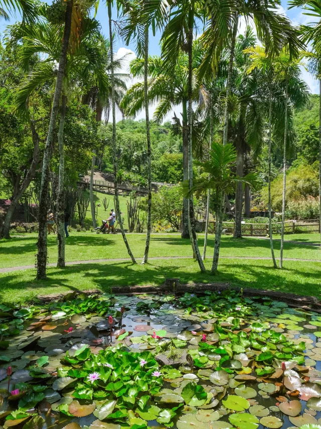 Jardin Zoo Habitation Latouche Carbet Martinique