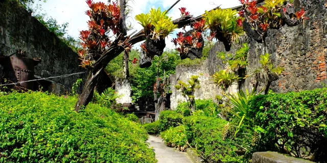 Jardin Zoo Habitation Latouche Carbet Martinique