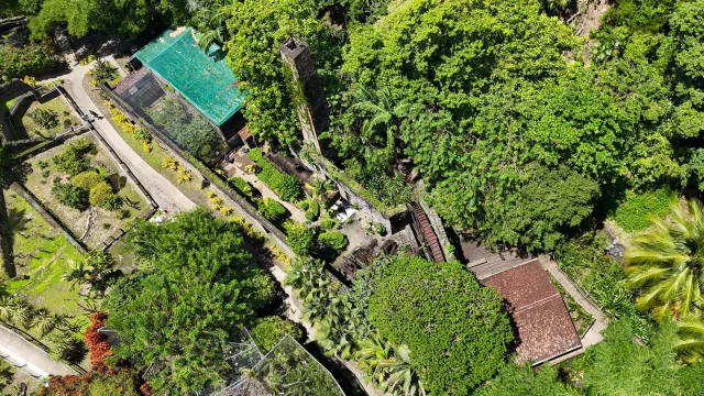 Jardin Zoo Habitation Latouche Carbet Martinique