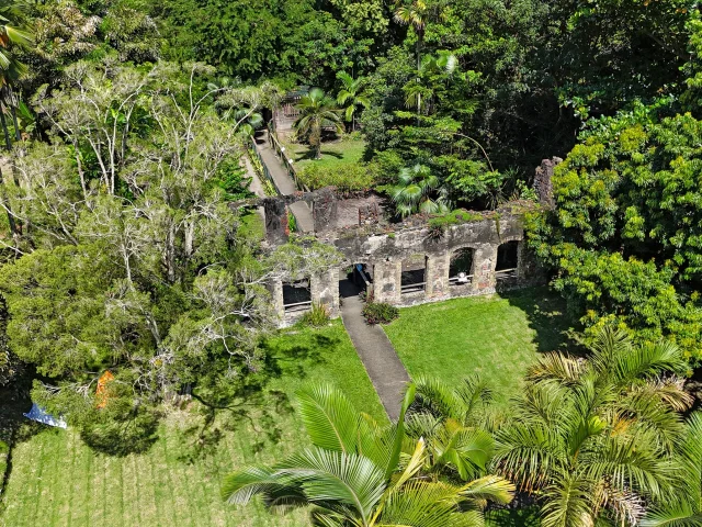 Jardin Habitation Anse Latouche Carbet Martinique