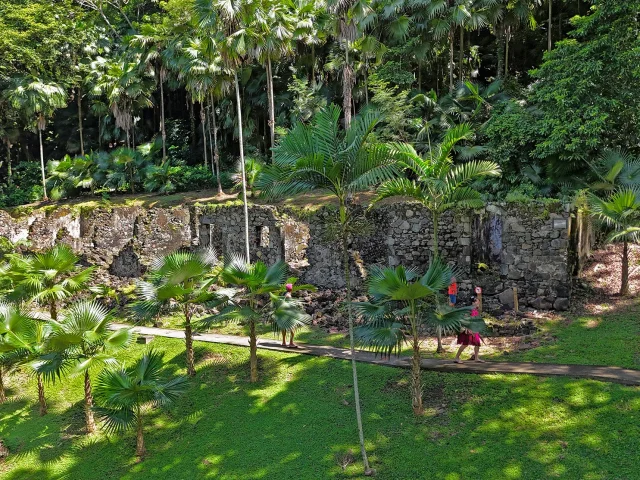 Jardin Habitation Anse Latouche Carbet Martinique