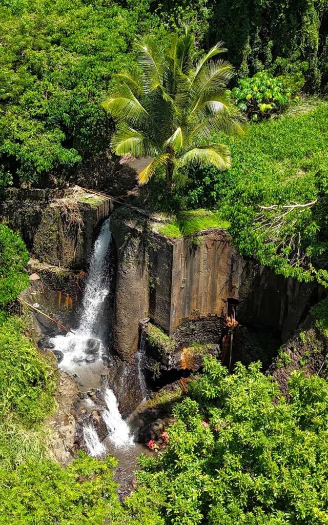 Jardin Zoo Habitation Latouche Carbet Martinique