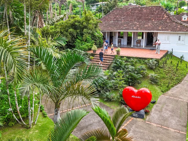 Jardin de Balata Fort-de-France Martinique