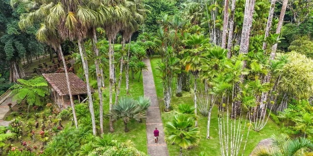 Jardin de Balata Fort-de-France Martinique