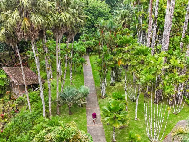 Jardin de Balata Fort-de-France Martinique