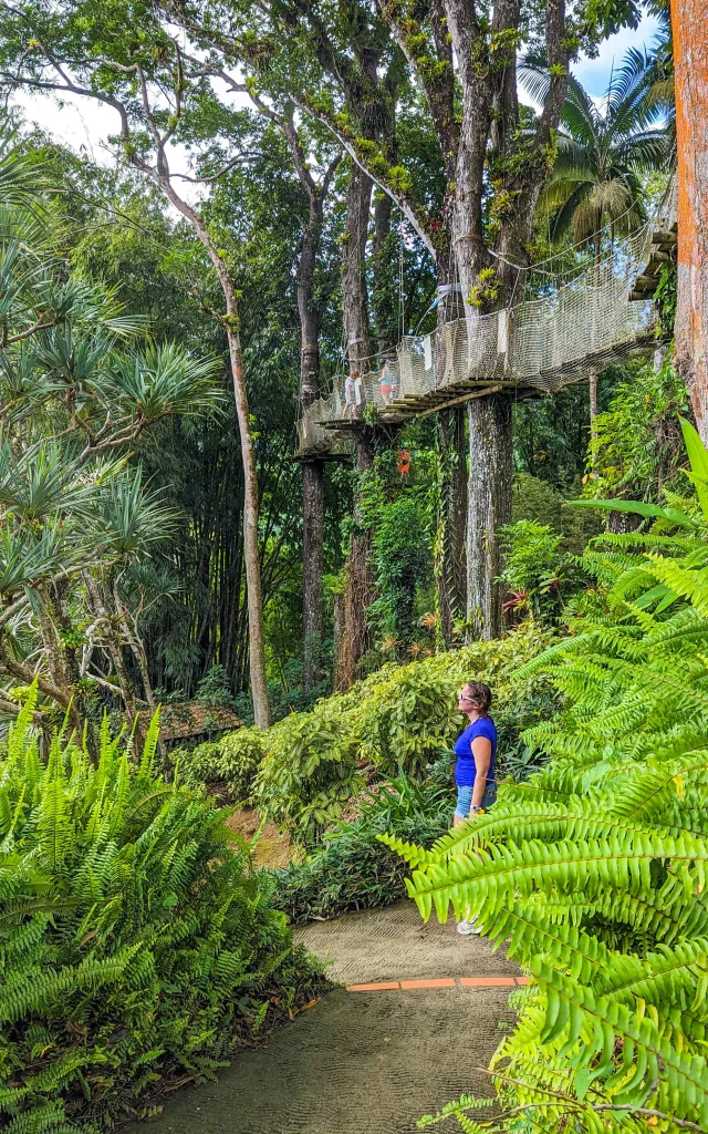 Jardin de Balata Fort-de-France Martinique