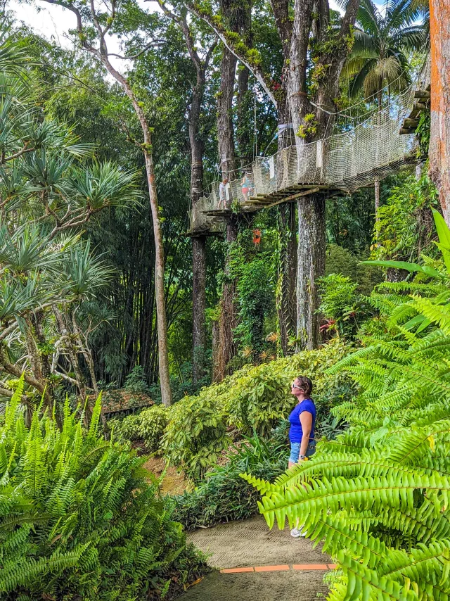 Jardin de Balata Fort-de-France Martinique