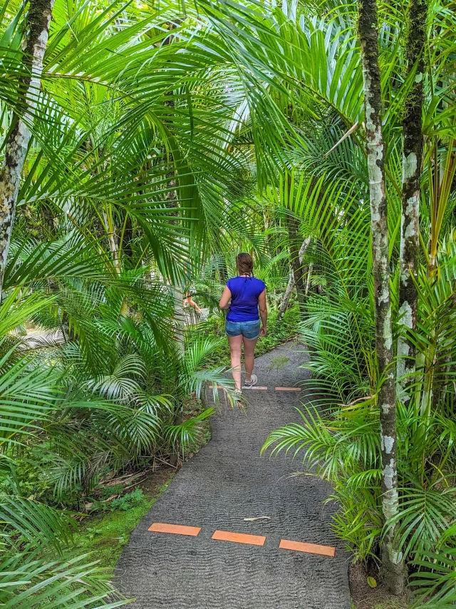 Jardin de Balata Fort-de-France Martinique