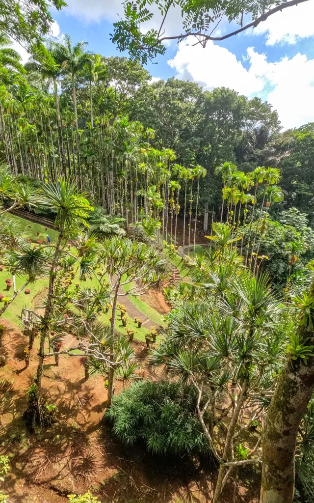 Jardin de Balata Fort-de-France Martinique