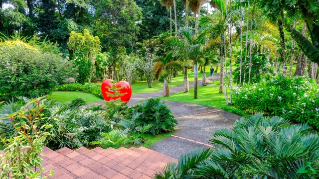 Jardin de Balata Fort-de-France Martinique