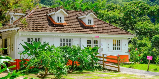 Jardin de Balata Fort-de-France Martinique