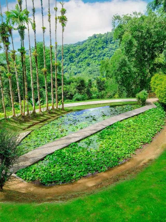 Jardin de Balata Fort-de-France Martinique