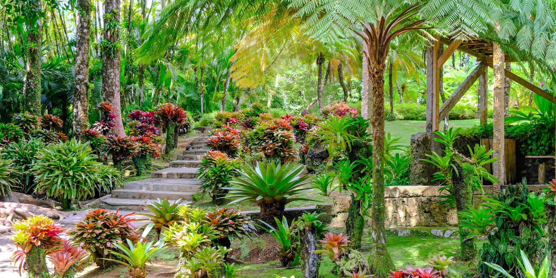 Jardin de Balata Fort-de-France Martinique