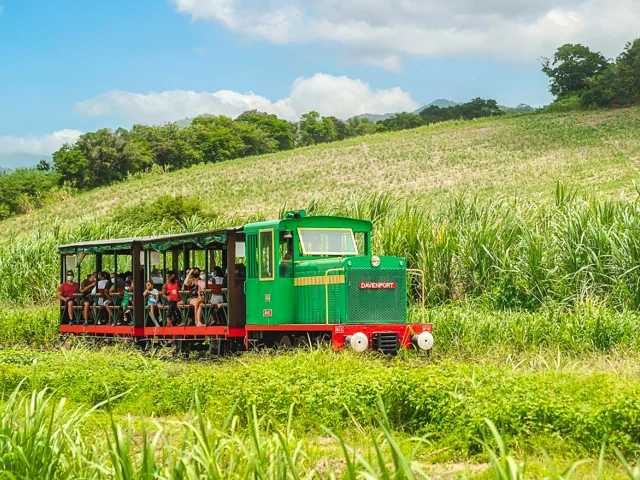 Le train des plantations Distillerie Saint James Sainte-Marie Martinique